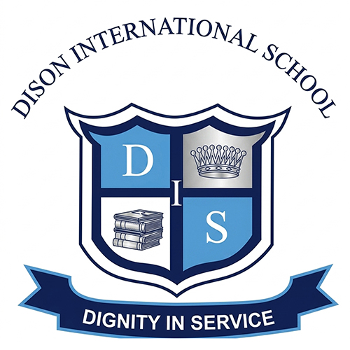 Dison International School